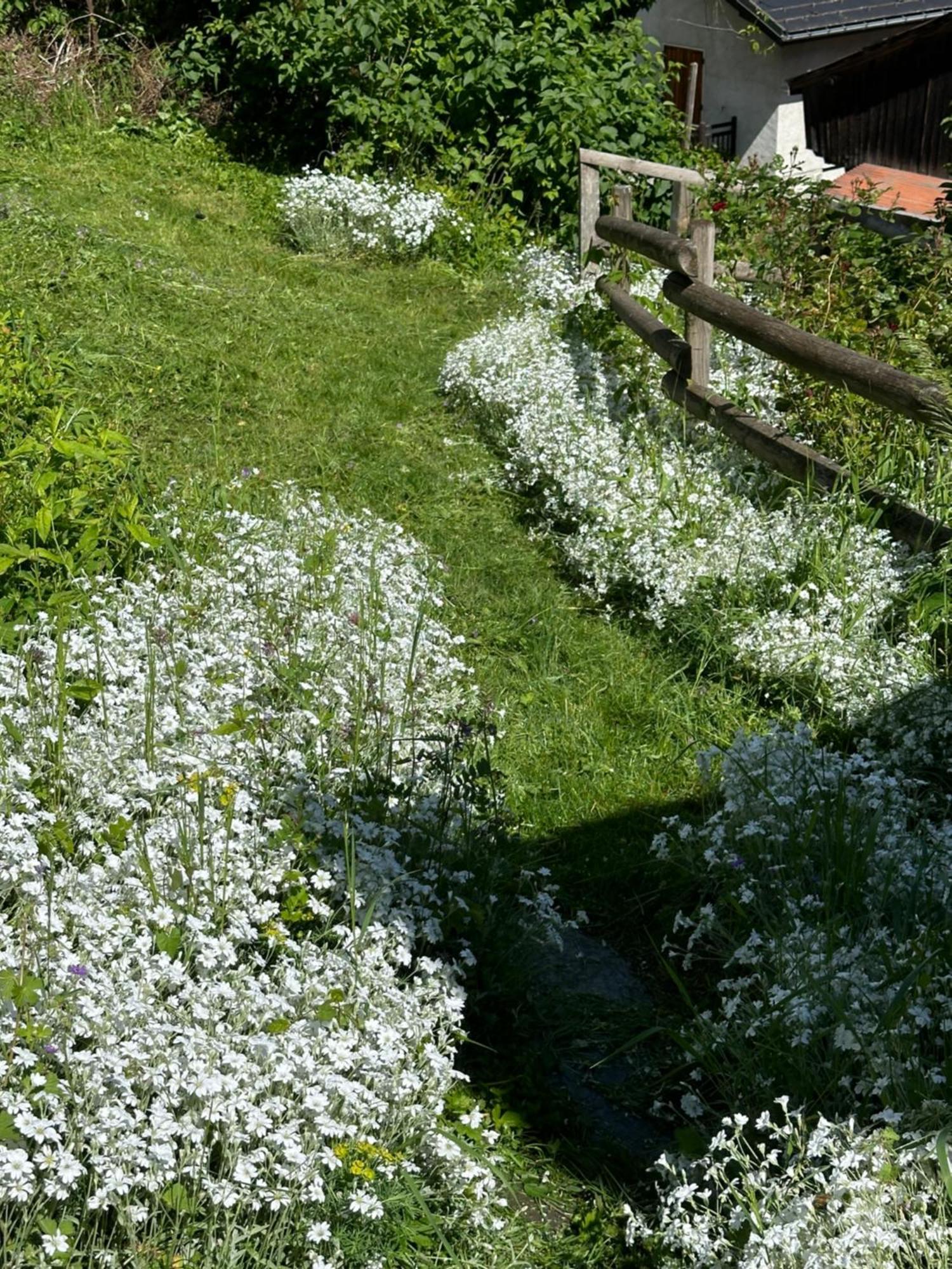 Huguette Studio 18M2 Courchevel Kültér fotó